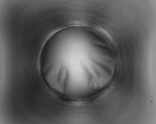 X0000094331182200711161944