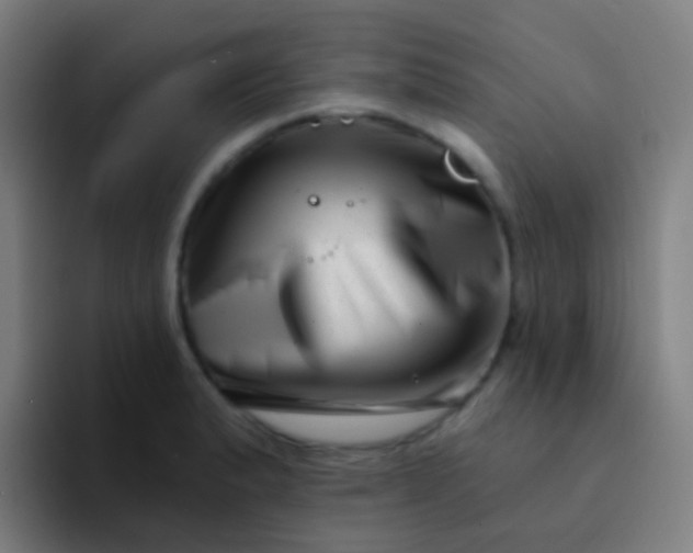 X0000094331183200711161944
