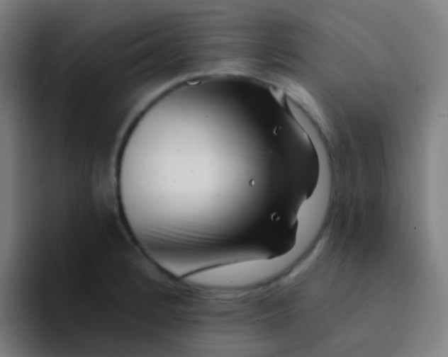 X0000094331184200711161944