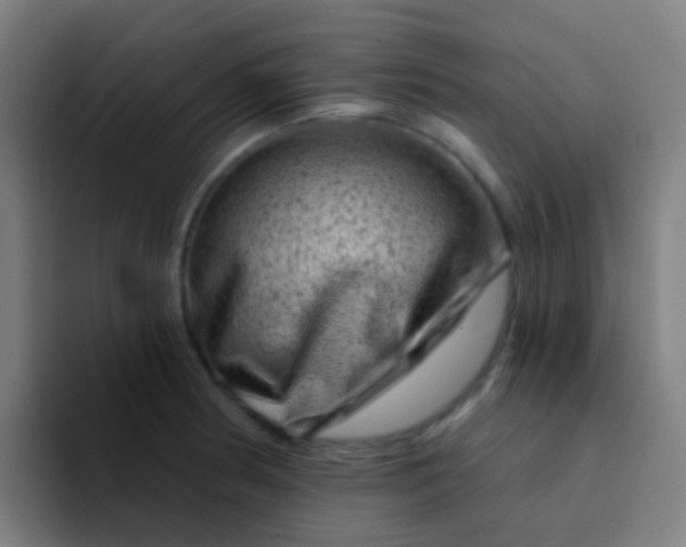X0000094331186200711161944