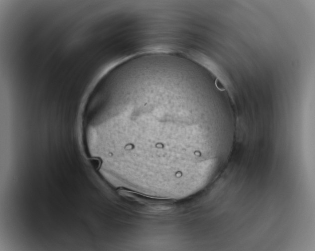X0000094331187200711161943