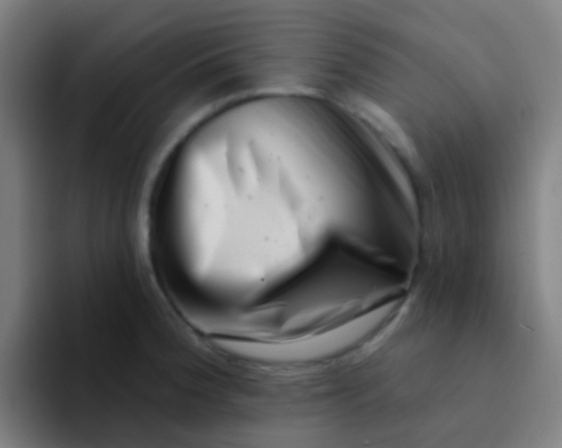 X0000094331188200711161943