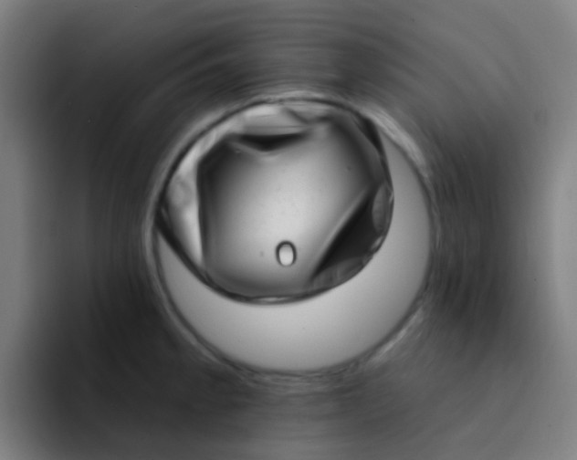X0000094331189200711161943