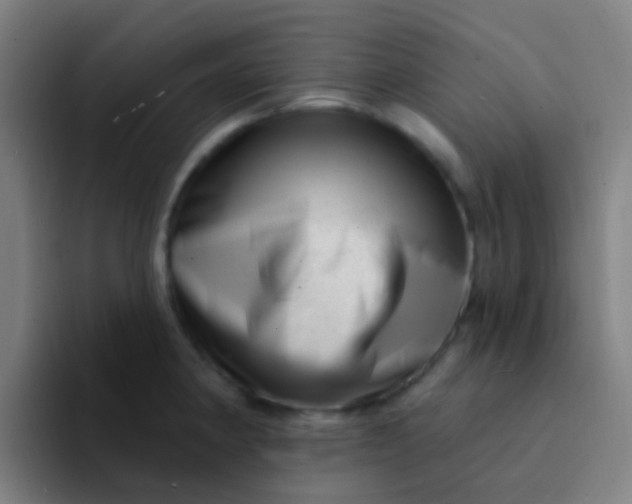 X0000094331190200711161943