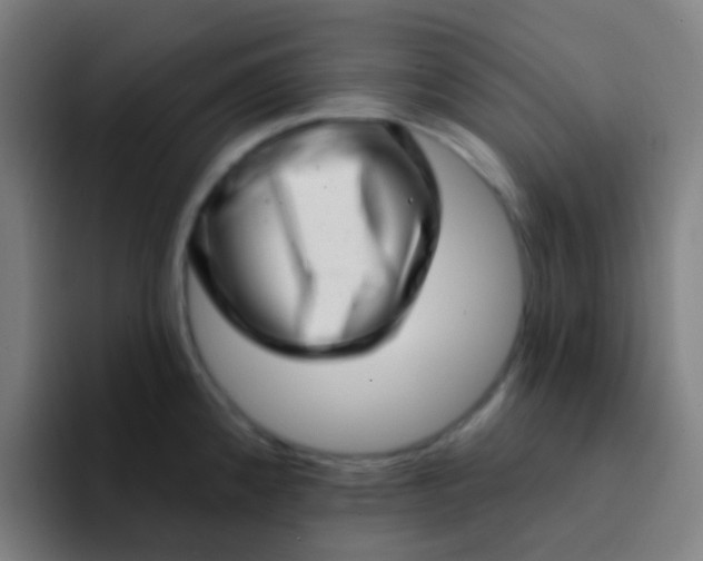 X0000094331192200711161943