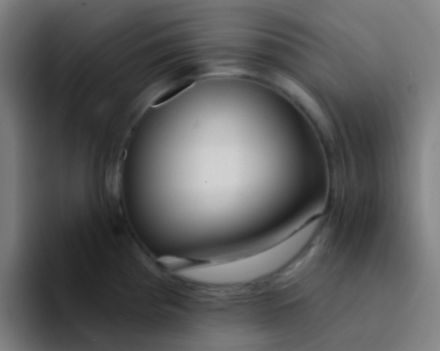 X0000094331193200711161943