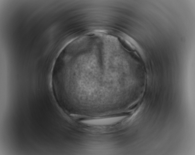 X0000094331194200711161943
