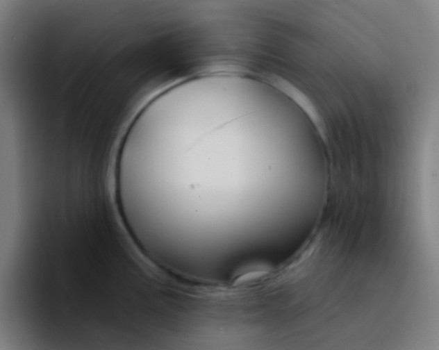X0000094331195200711161943
