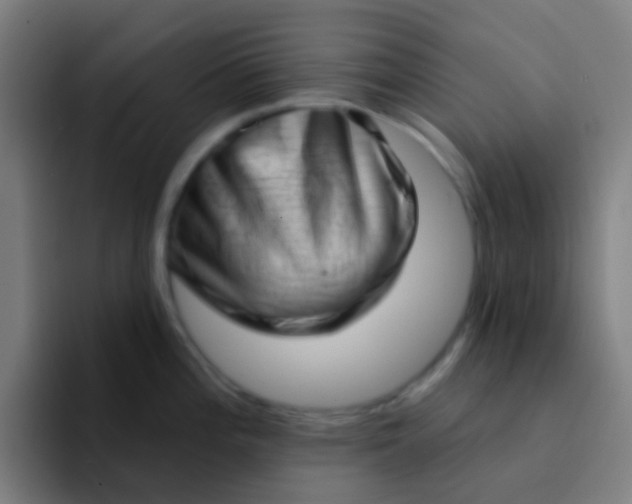 X0000094331196200711161943