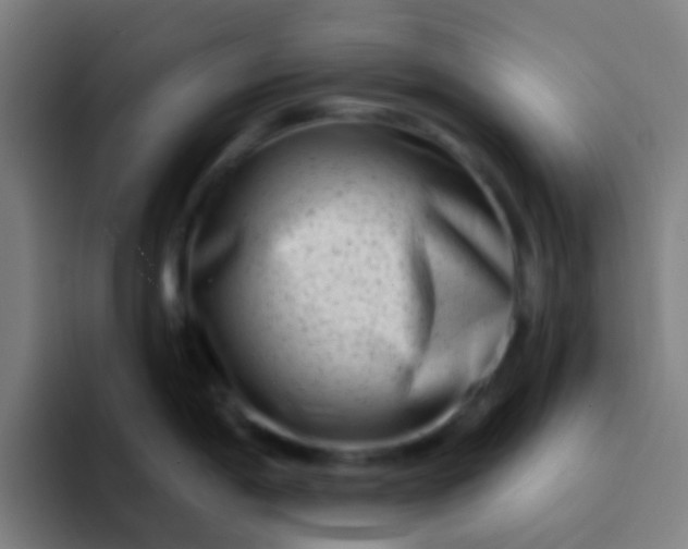 X0000094331198200711161943