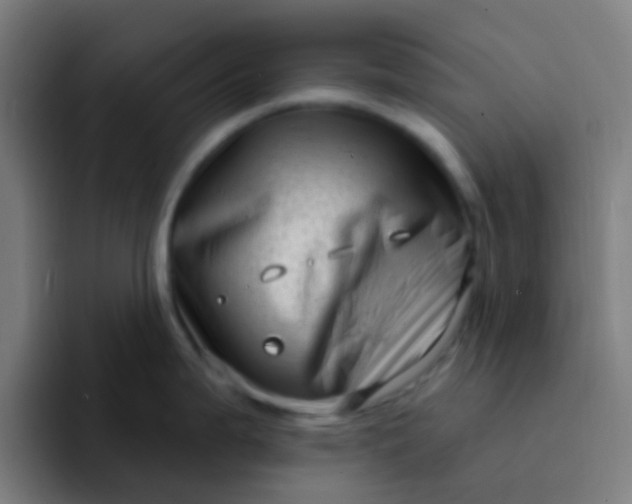 X0000094331199200711161943