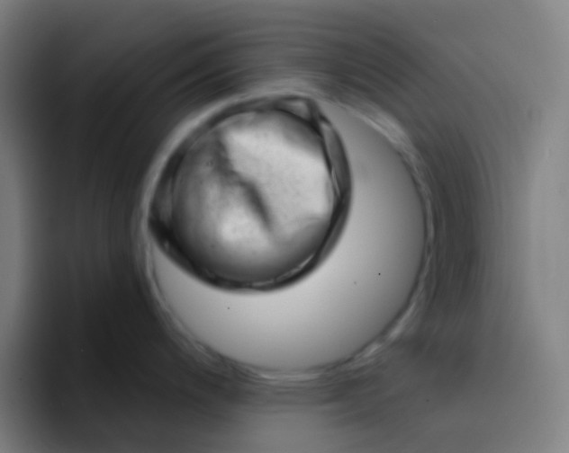 X0000094331200200711161943