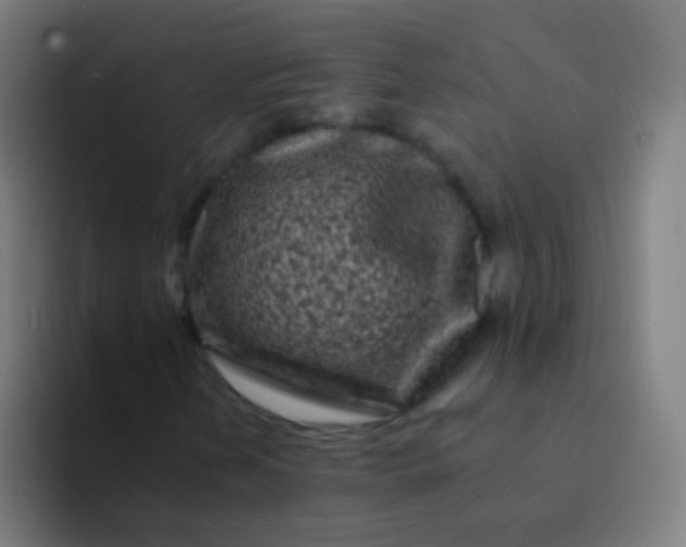 X0000094331202200711161943