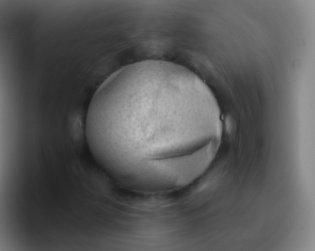 X0000094331203200711161943