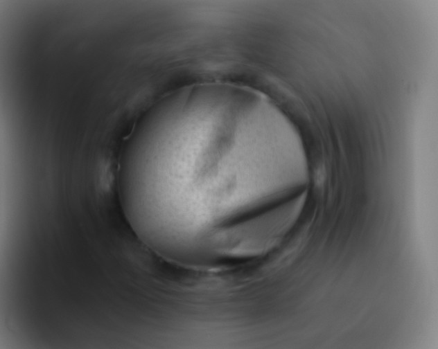 X0000094331204200711161943
