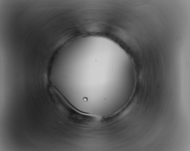 X0000094331209200711161943