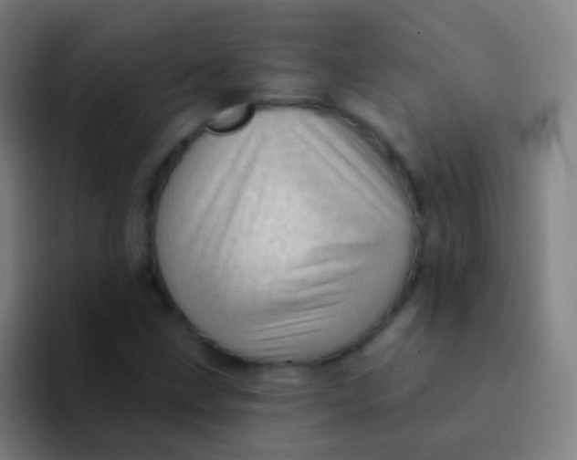 X0000094331211200711161943