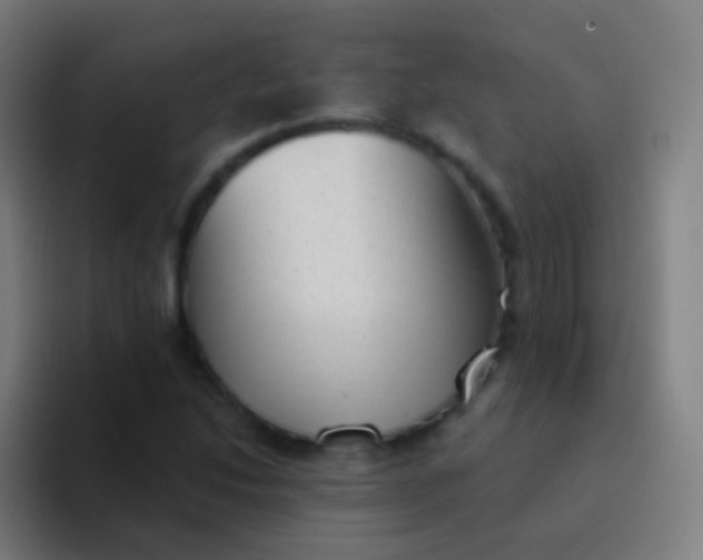 X0000094331214200711161943