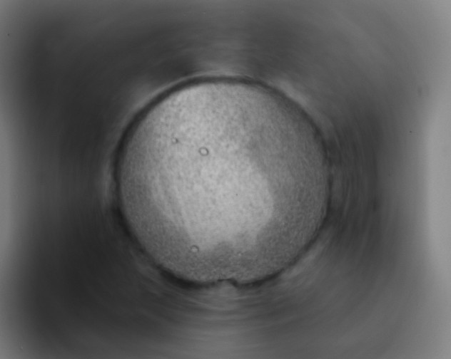 X0000094331215200711161943