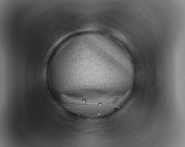 X0000094331216200711161943