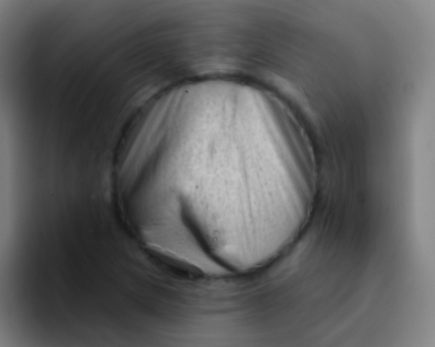 X0000094331217200711161943
