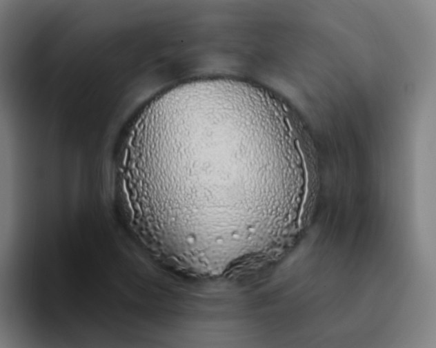 X0000094331219200711161943