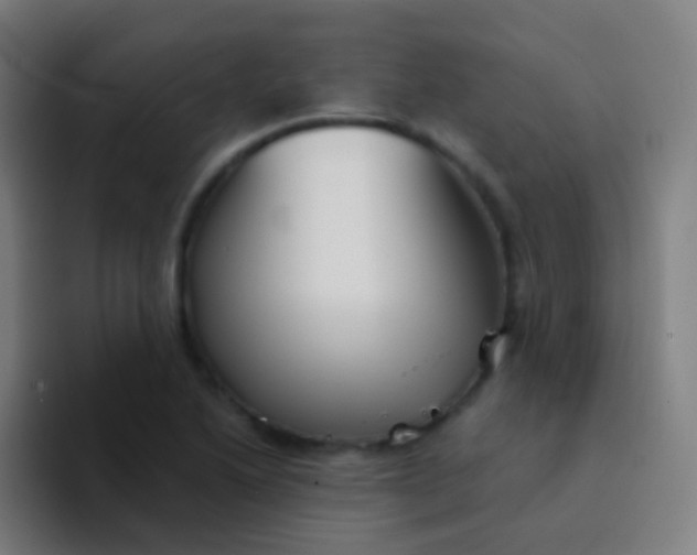 X0000094331222200711161943