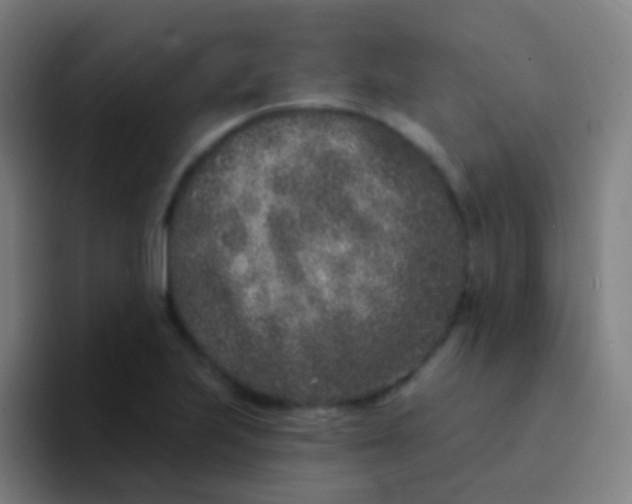 X0000094331223200711161943
