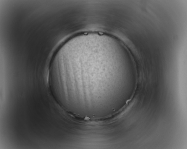 X0000094331224200711161943