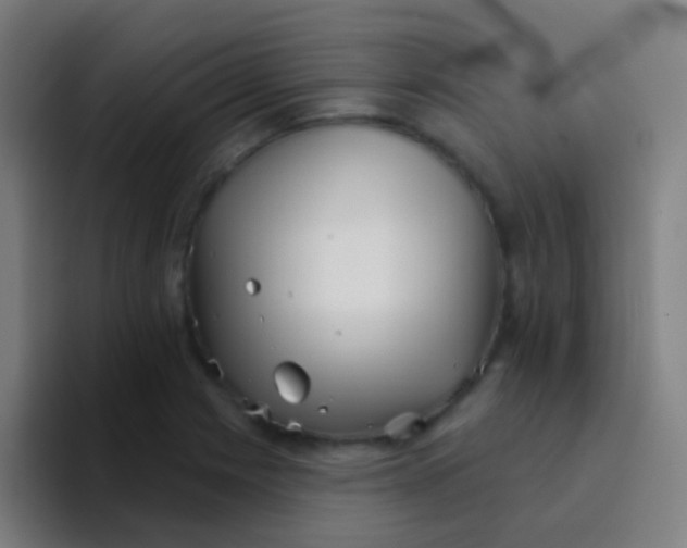 X0000094331225200711161943