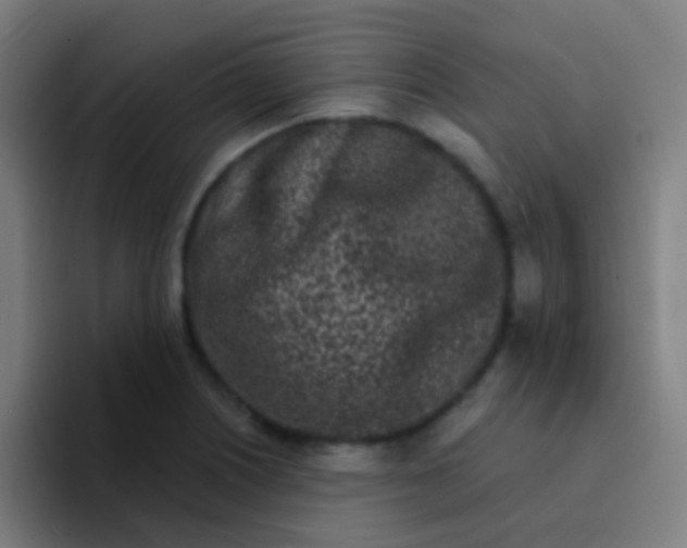 X0000094331226200711161943