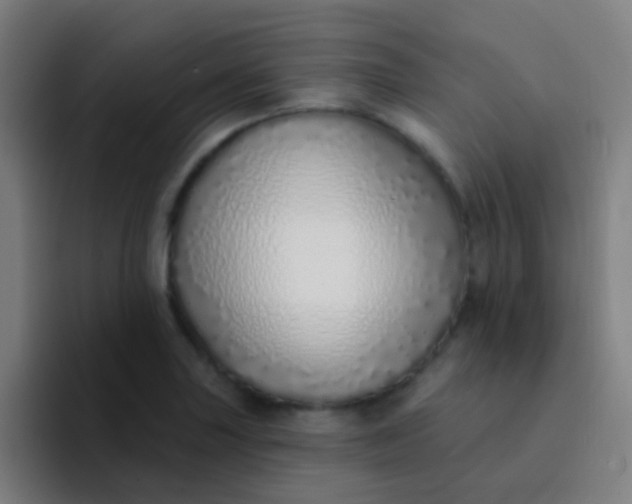 X0000094331227200711161943