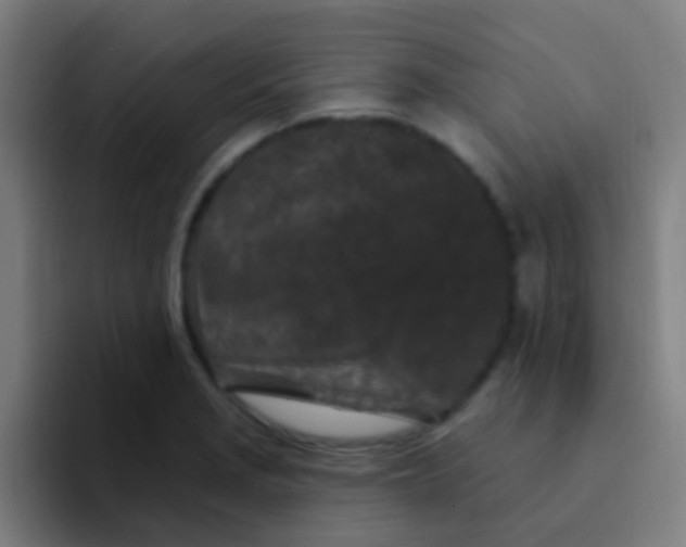 X0000094331229200711161943