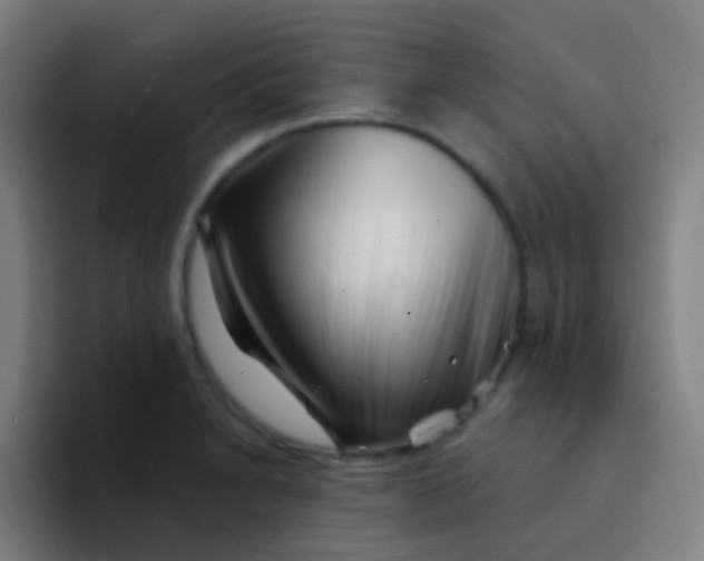 X0000094331230200711161943