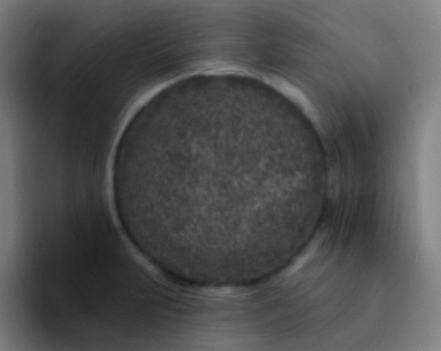 X0000094331231200711161943