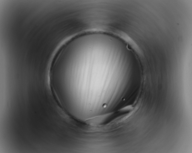 X0000094331232200711161943