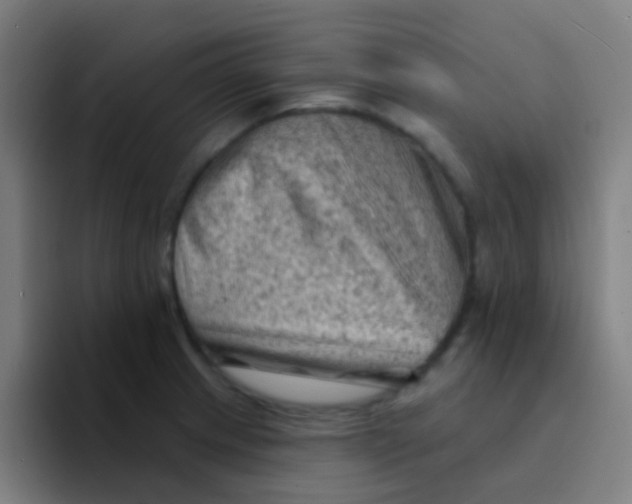 X0000094331233200711161943