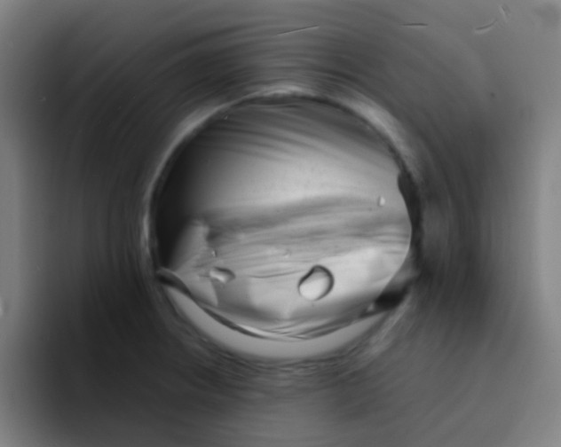 X0000094331234200711161943