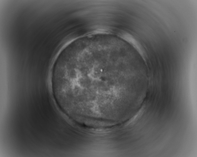 X0000094331235200711161943