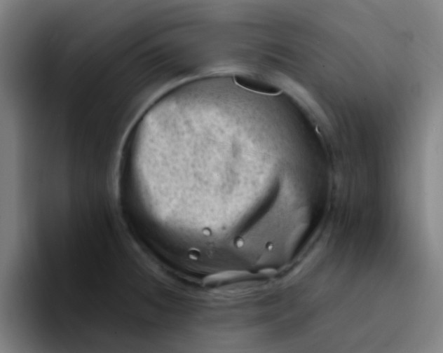 X0000094331236200711161943