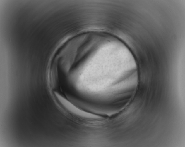 X0000094331237200711161943
