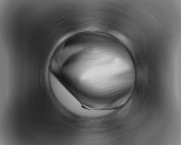 X0000094331238200711161943