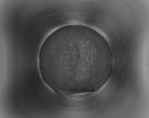 X0000094331239200711161943