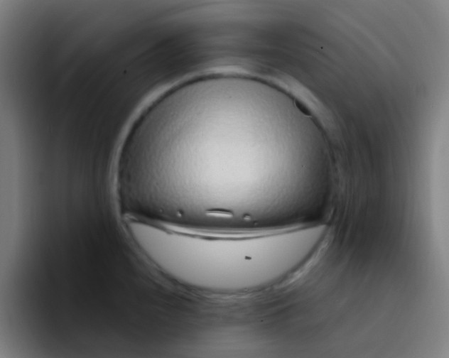 X0000094331240200711161943