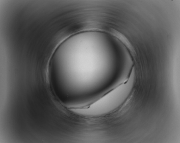 X0000094331242200711161943