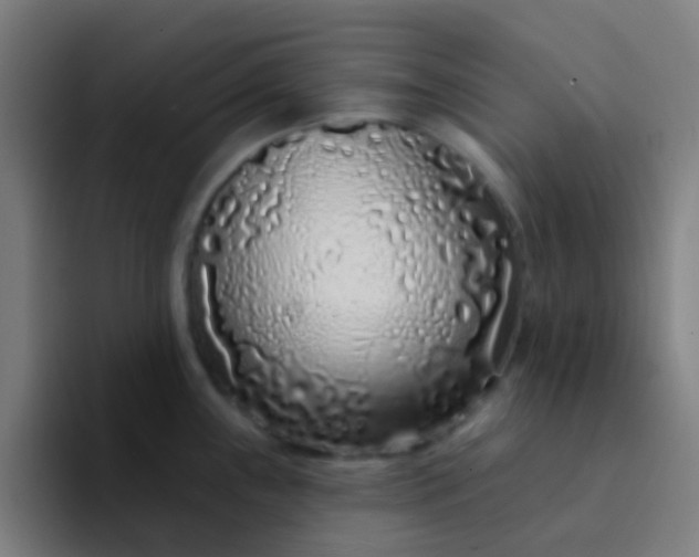 X0000094331243200711161943