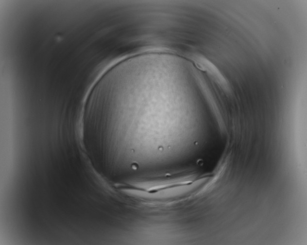 X0000094331244200711161943