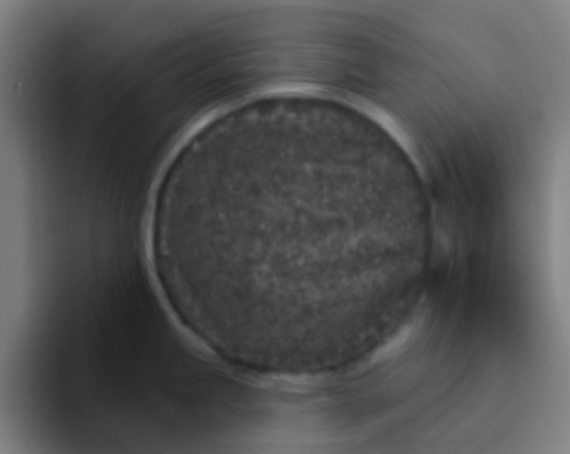 X0000094331245200711161943