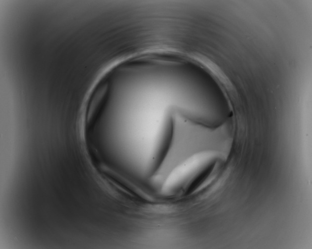 X0000094331246200711161943