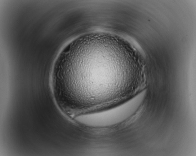 X0000094331247200711161943